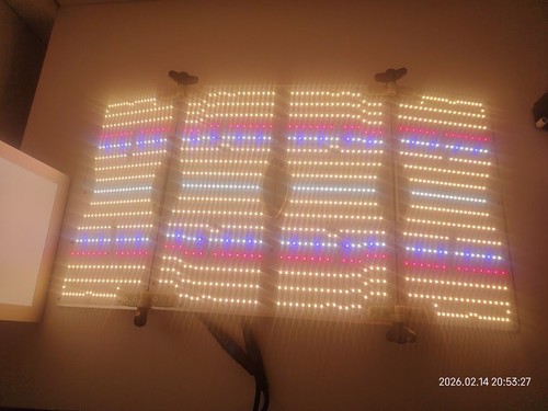 Aglex 400w led grow lampe - grow,